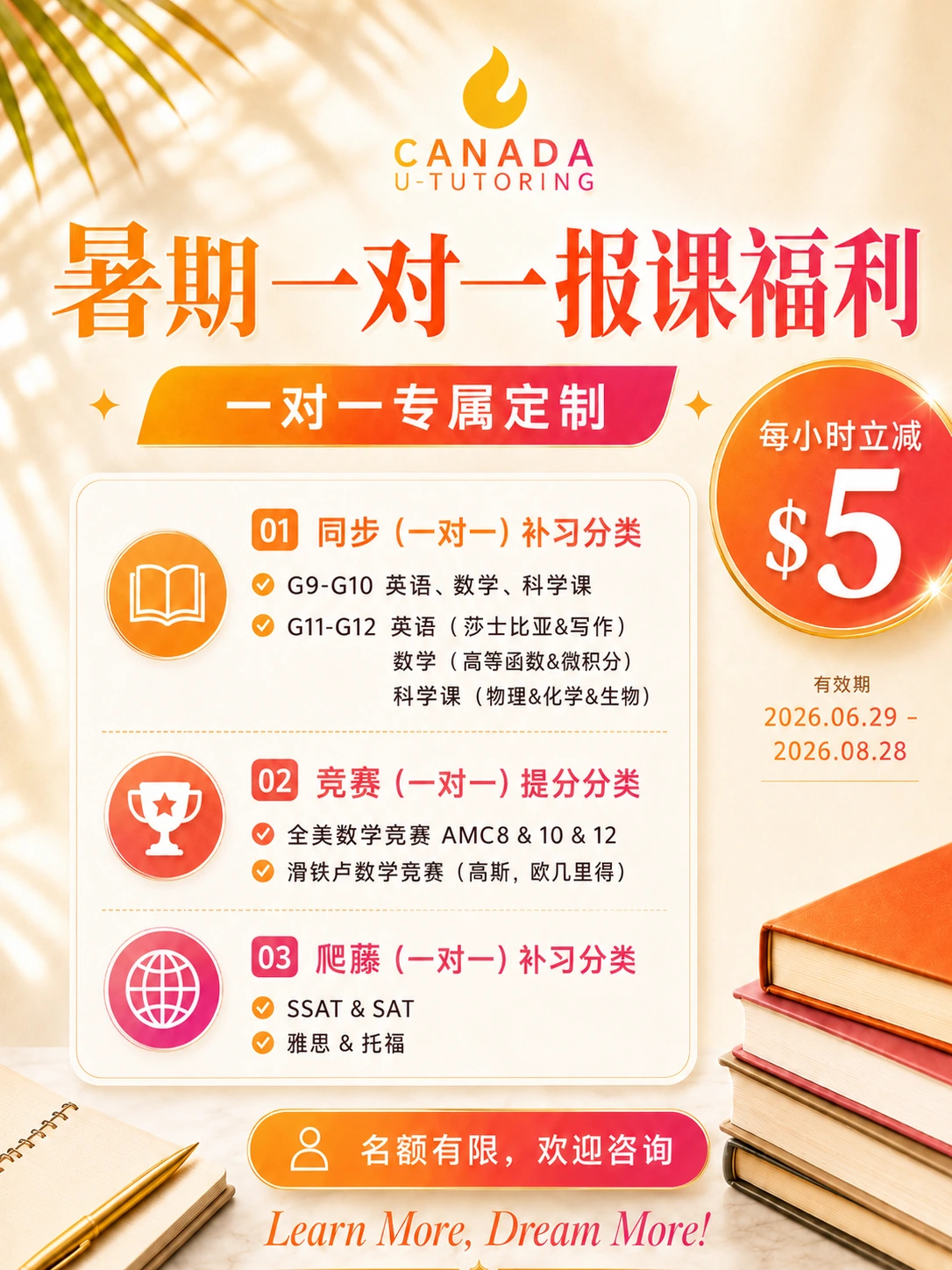 Summer 1-to-1 Learning Offer poster